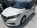 2021 Nissan Leaf