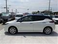 2021 Nissan Leaf