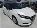 2021 Nissan Leaf