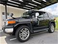 2011 Toyota FJ Cruiser
