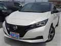 2022 Nissan Leaf