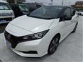 2022 Nissan Leaf