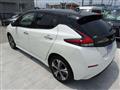 2022 Nissan Leaf
