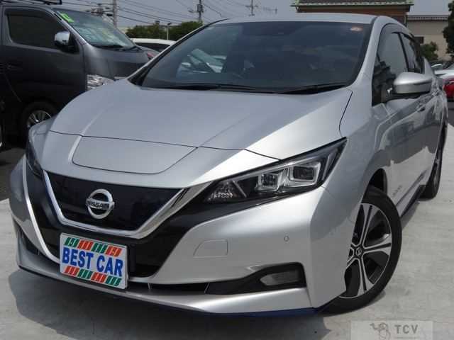 2020 Nissan Leaf