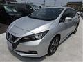 2020 Nissan Leaf