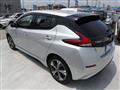 2020 Nissan Leaf