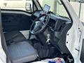 2021 Daihatsu Hijet Truck