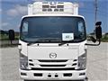 2019 Isuzu Elf Truck