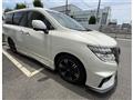 2017 Nissan Elgrand