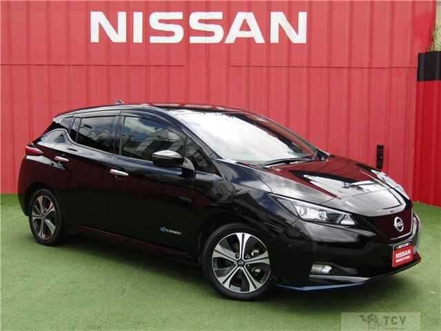 2022 Nissan Leaf