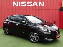 2022 Nissan Leaf