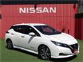 2021 Nissan Leaf