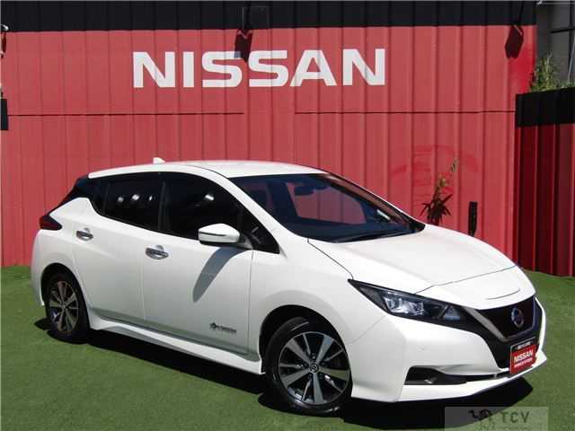 2021 Nissan Leaf
