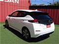 2021 Nissan Leaf