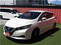 2021 Nissan Leaf