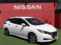 2021 Nissan Leaf