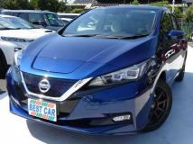 2019 Nissan Leaf