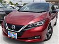 2019 Nissan Leaf
