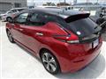 2019 Nissan Leaf