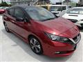 2019 Nissan Leaf