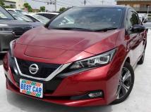 2019 Nissan Leaf