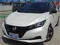 2022 Nissan Leaf