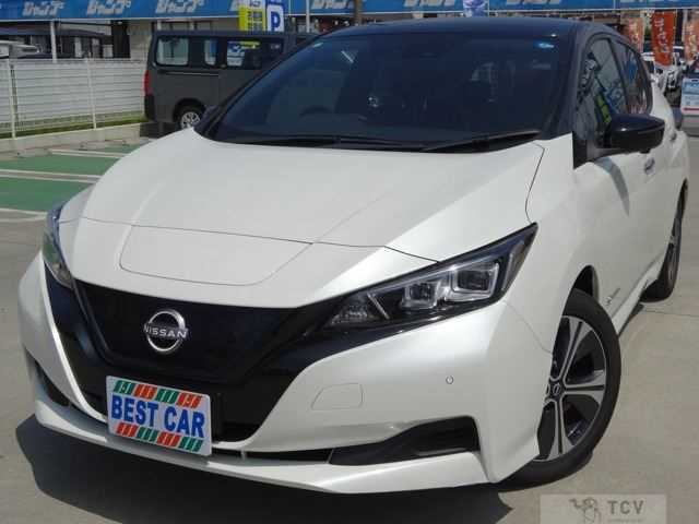 2022 Nissan Leaf