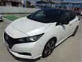 2022 Nissan Leaf