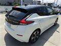 2022 Nissan Leaf