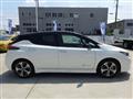 2022 Nissan Leaf