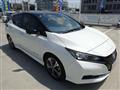 2022 Nissan Leaf