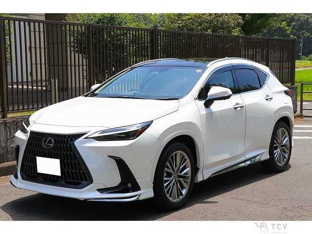 2025 Lexus Other