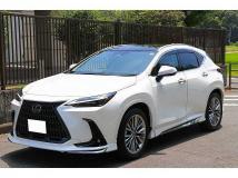 2025 Lexus Other