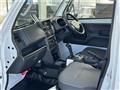 2019 Suzuki Carry Truck