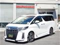 2020 Toyota Alphard G
