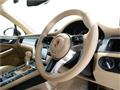 2015 Porsche Porsche Others