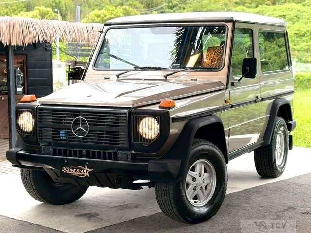 1989 Mercedes-Benz G-Class