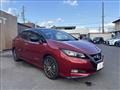 2019 Nissan Leaf