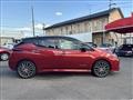 2019 Nissan Leaf