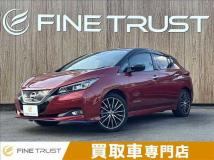 2019 Nissan Leaf