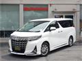 2020 Toyota Alphard G