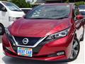 2019 Nissan Leaf
