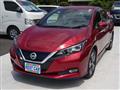 2019 Nissan Leaf