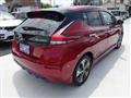 2019 Nissan Leaf