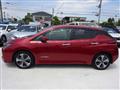 2019 Nissan Leaf