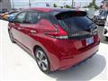 2019 Nissan Leaf