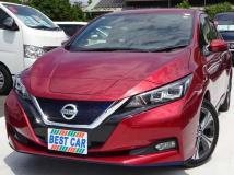 2019 Nissan Leaf