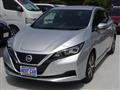 2020 Nissan Leaf