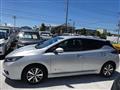 2022 Nissan Leaf