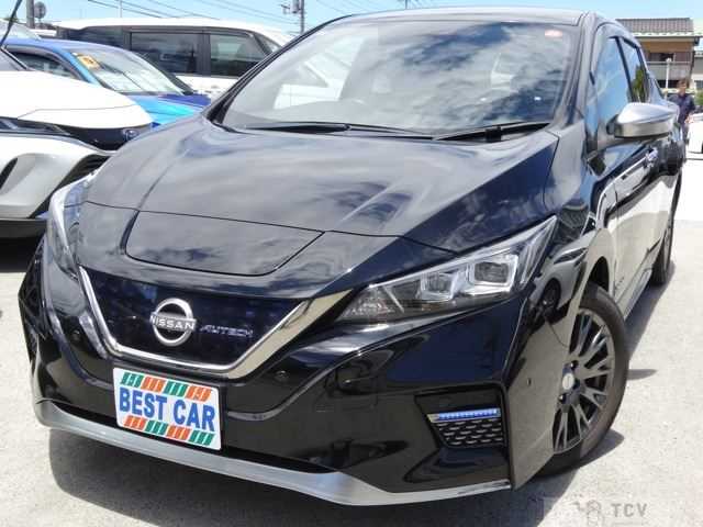 2021 Nissan Leaf